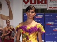 Karol�na Ailov�